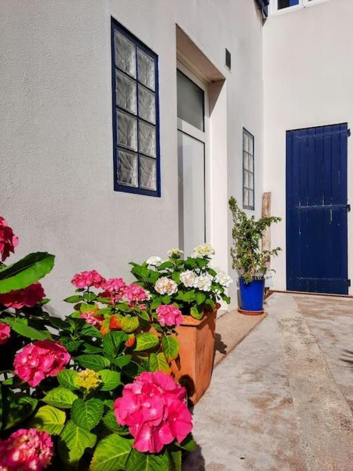 Le Studio D'En O, Au Coeur De La Haute Ville De Pornic. Exteriér fotografie